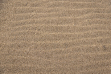 Close up of the wind-swept ripples in the sand on a beach.