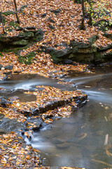 Portrait format image of waterfall with autumn leads