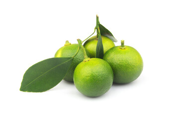 Fresh green calamansi limes isolated on white background.