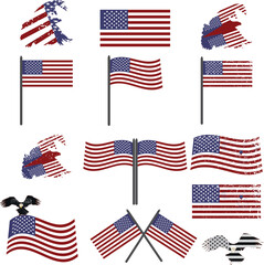 USA Flag and Eagle design new