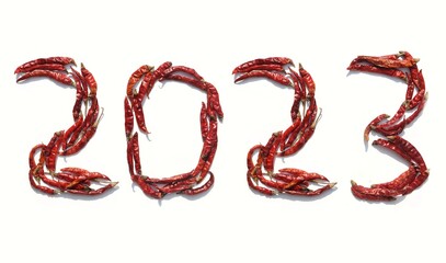 2023 Written with Dry Red Chilies on White Background, Happy New Year 2023 Wishing Conceptual Photo