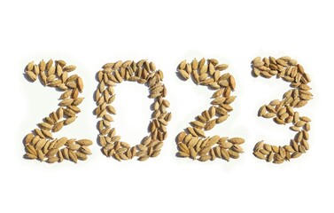 2023 Written with Cardamom or Cardamon Pods on White Background in Horizontal Orientation, Happy New Year 2023 Wishing Conceptual Photo