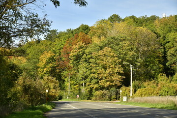 La beauté de l'automne le long d'une route dans la forêt d'Anseremme derrière les rochers de Freyr 