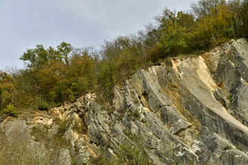 Fototapeta na wymiar Végétation sauvage sur les parois rocheuses aux contreforts des rochers de Freyr au sud de Dinant 