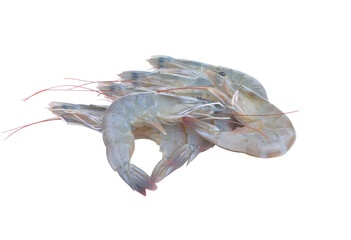 Fresh  shrimp on   transparent png