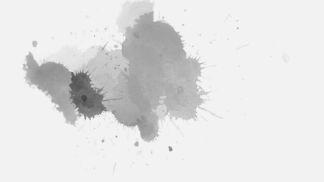 Black and white paint splatter forming an abstract slow-motion reveal, blending ink strokes and fluid art textures for clean overlay and alpha matte compositing transitions.