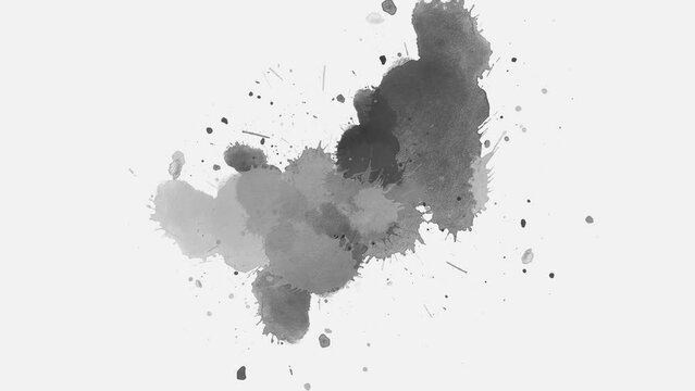 ink slow motion transition reveal. grunge background with blots. splashes black ink fluid ink splash transition. watercolor paint brush stroke. ink splash transition.