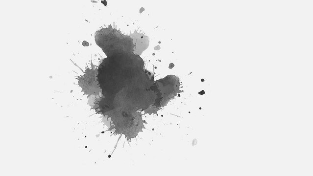 ink splat ink splashes. splashes black ink fluid ink splash transition. ink slow motion transition reveal. watercolor paint brush stroke. ink splash transition.