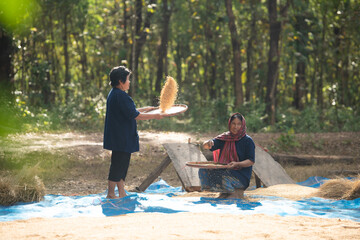 Rural life of Thai farmers More than 70% have to live on farming. Sifting rice with baskets that farmers