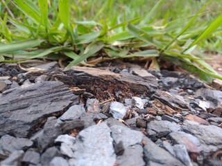 stone and grass, pedra e grama