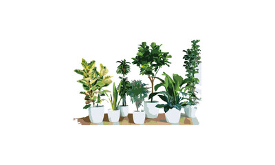 vector abstract indoor ornamental plants