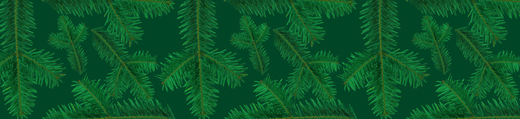 Fototapeta na wymiar Panoramic pattern green fir branches on a green background.
