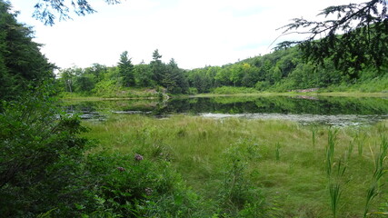 Fototapeta na wymiar Parc National de la Gatineau