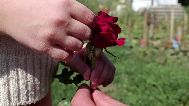 Ukrainian defenders. Soldier with a child. War in Ukraine. Russian aggression against Ukraine. A soldier gives a flower to a child. The concept of peace. The return of the father from the war.