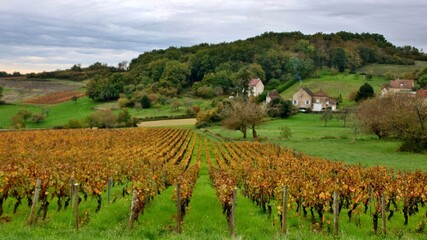 Fototapeta na wymiar Village viticole dans la côte Chalonnaise.