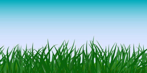 Green grass seamless border, sky background