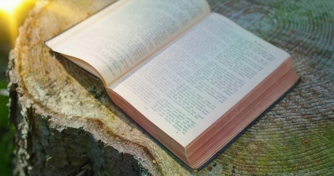 Holy Bible. Open sacred book on a natural background. Forest nature. Sunset rays of sunlight fall on the pages. Holy scriptures in German. Ancient writings. Big old stump.
