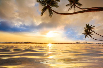 Obraz premium Tropical beach
