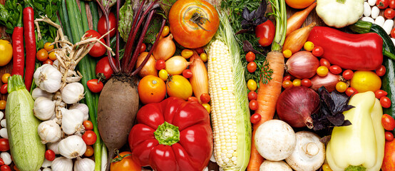 Harvest variety of garden vegetables, vegetarian food assortment.