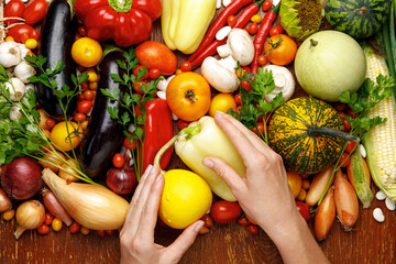 Variety of vegetarian food, ripe garden vegetables.