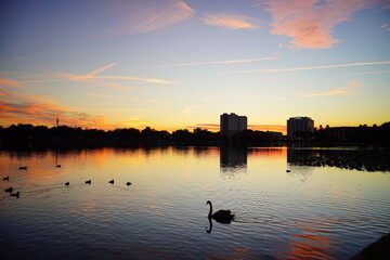 Sun set Landscape of lake Morton in city center of lakeland Florida © Feng