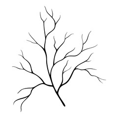 Tree branch without leaves, silhouette. Vector illustration