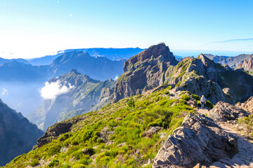 Obraz premium Madeira the island of flowers a part of Portugal