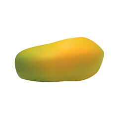 Realistic ripe papaya vector design