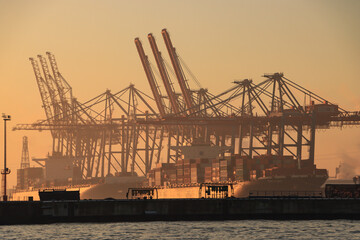 Wintermorgen im Hamburger Hafen; Blick vom Altonaer Fischmarkt über die Norderelbe zum Container...