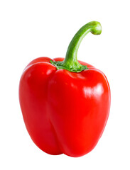 Bulgarian red pepper isolated on white background