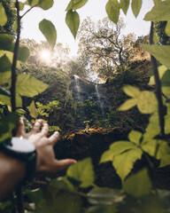 person in the forest