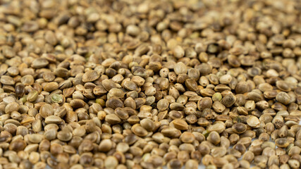 Hemp Seeds Background, Macro. Organic Food. Dried Superfood. Hemp Seeds Texture Background