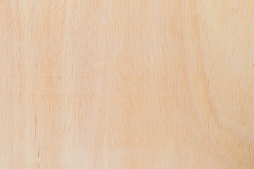 Light rough textured cut surface of an African tree. Wood background or blank for design