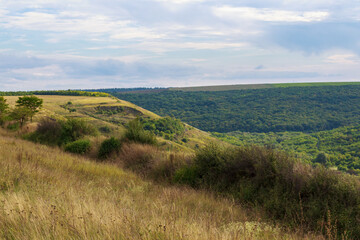 Fototapeta na wymiar The hilly nature of Eastern Europe. Background with copy space for text, toned