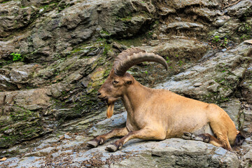 Dagestan tour. Background with selective focus and copy space