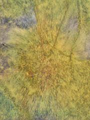 Yellow texture