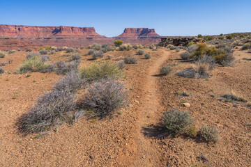 hiking the murphy trail loop in the island in the sky in canyonlands national park, usa