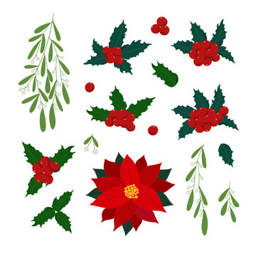 Christmas plants set holly, poinsettia flower, mistletoe, green leaves, berries clipart for home decor, festive holiday ornament, vector illustration for seasonal greeting card, invitation, poster
