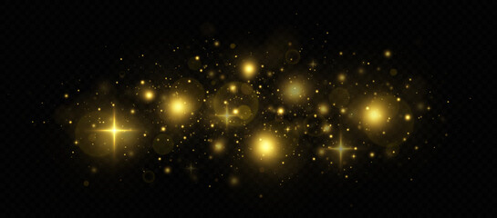 Fototapeta na wymiar Luminous magic dust particles. Christmas concept. Golden sparks and stars glitter special light effect. 