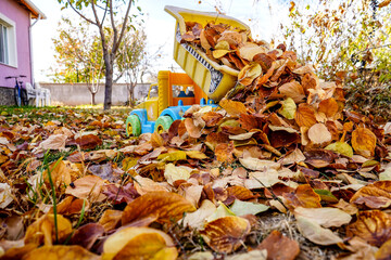 Toy truck pours leaves to the garden with brown dried leaves, pink house and vineyard posts, selective focus