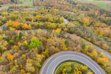 Colorful autumn trees and empty curvy road in Wujskie, Poland, aerial panorama