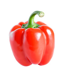 Bulgarian red pepper isolated on squirrel background