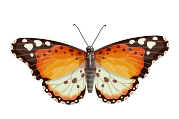 Colorful butterfly, winged insect.Vector graphics.