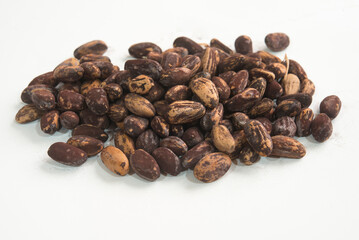 freshly picked pine nuts with shell