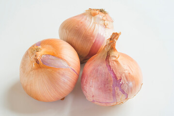 Onion white background close up