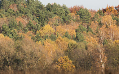 autumn in the mountains