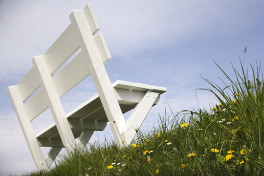 White Bench in Field