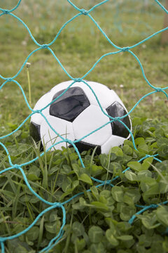 Soccer Ball and Net