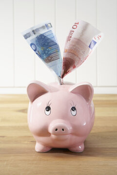 Piggy Bank and Money