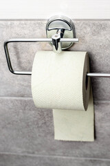 Toilet paper on the holder in the toilet